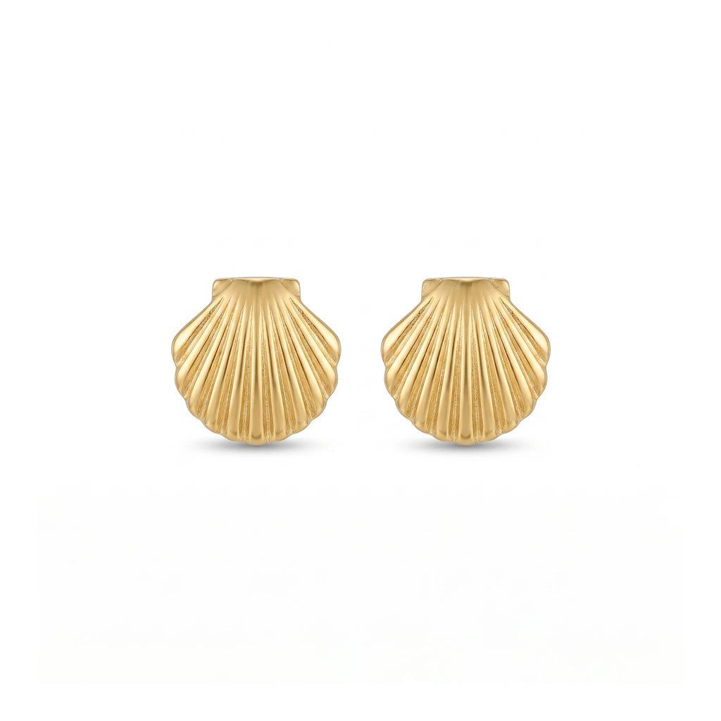 QIAOREN 11864 Waterproof Tarnish Free Stainless Steel Shell Stud Earrings Gold Textured Scallop Sea Shell Ocean Jewelry Women US