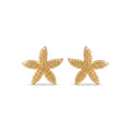 QIAOREN 11795 Trendy Starfish Stud Earrings Stainless Steel 18K Gold Plated Sea Star Summer Beach Jewelry for Women US EU