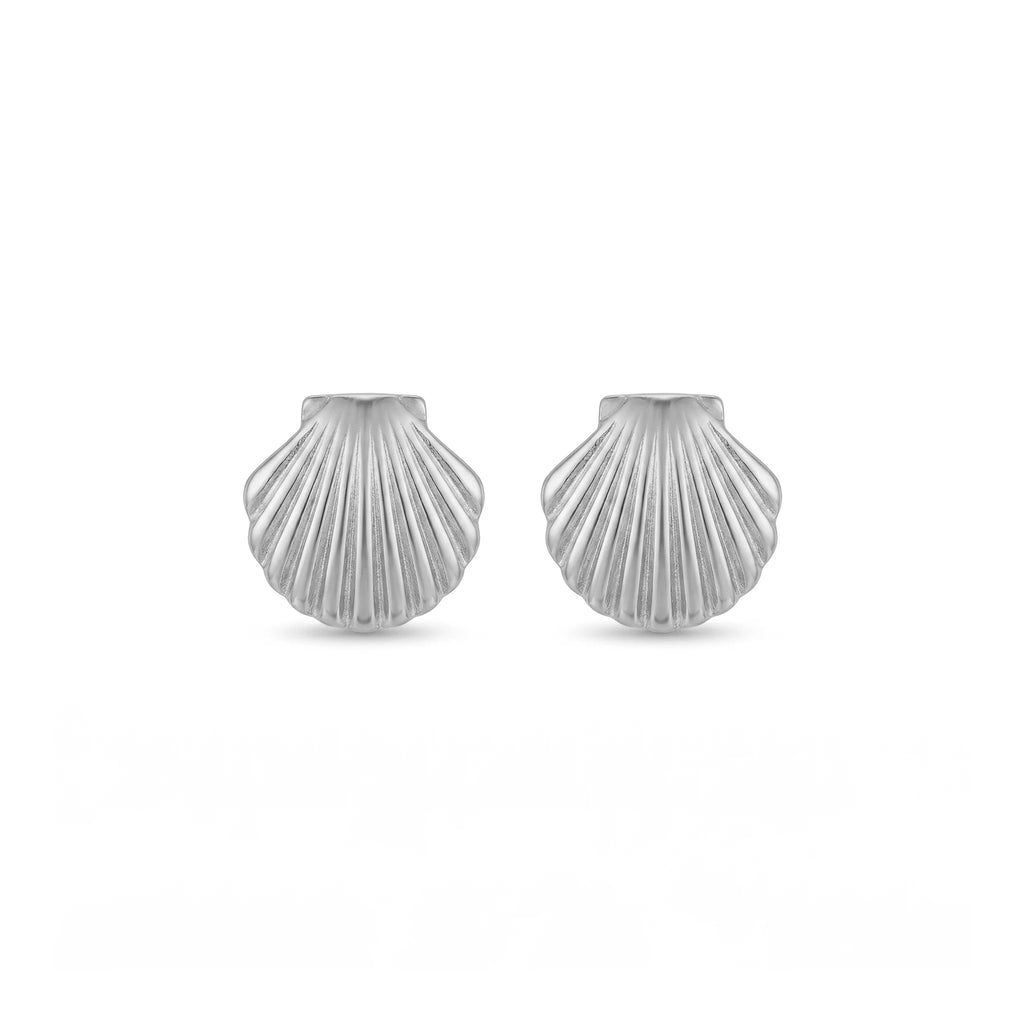 QIAOREN 11864 Waterproof Tarnish Free Stainless Steel Shell Stud Earrings Gold Textured Scallop Sea Shell Ocean Jewelry Women US
