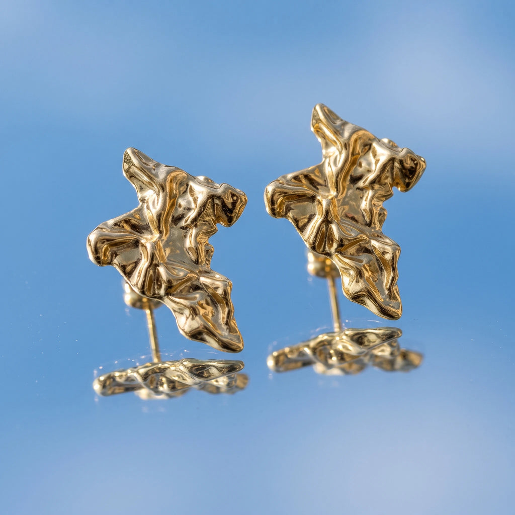 QIAOREN 14025 Polished Gold Africa Map Textured Stud Earrings, Crinkled Irregular Continent Outline Ear Stud Jewelry Gift