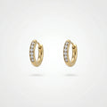 QIAOREN 12341 Dainty Round CZ Huggie Hoop Earrings Gold Stainless Steel Tiny Flush Set Crystal Mini Hoops Stackable Jewelry US